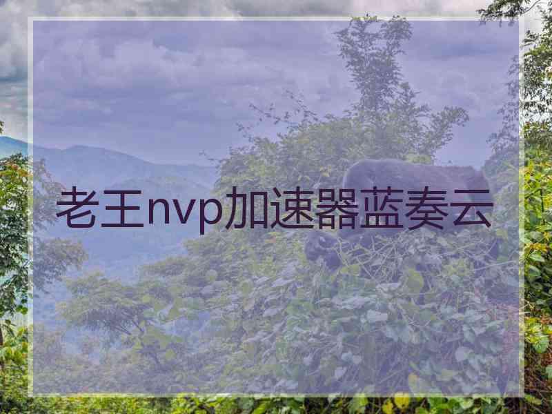 老王nvp加速器蓝奏云