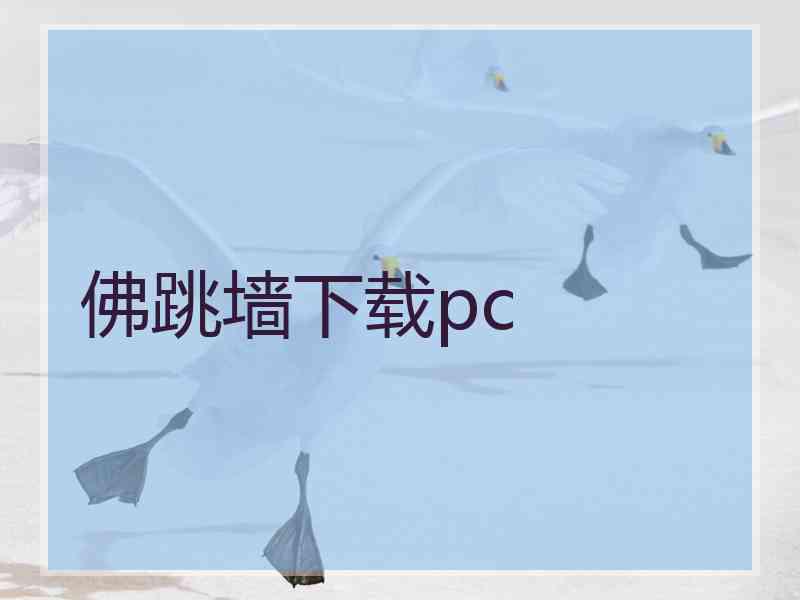 佛跳墙下载pc