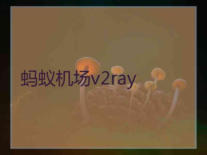 蚂蚁机场v2ray