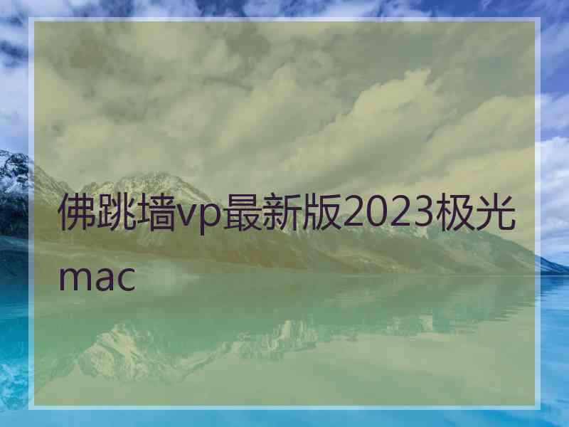 佛跳墙vp最新版2023极光 mac