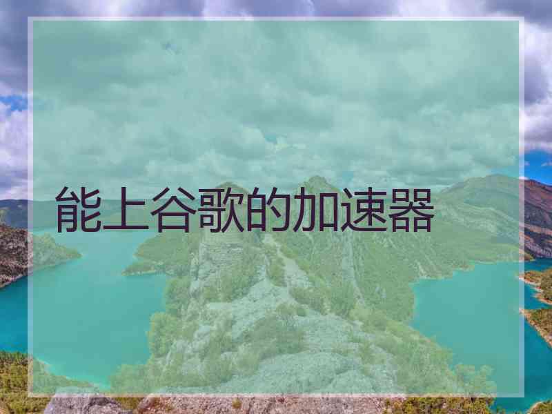 能上谷歌的加速器