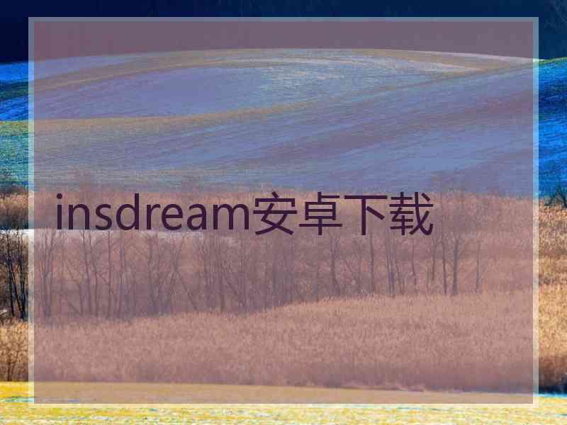 insdream安卓下载