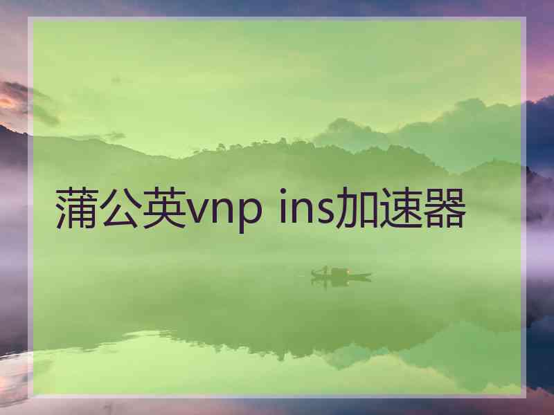 蒲公英vnp ins加速器