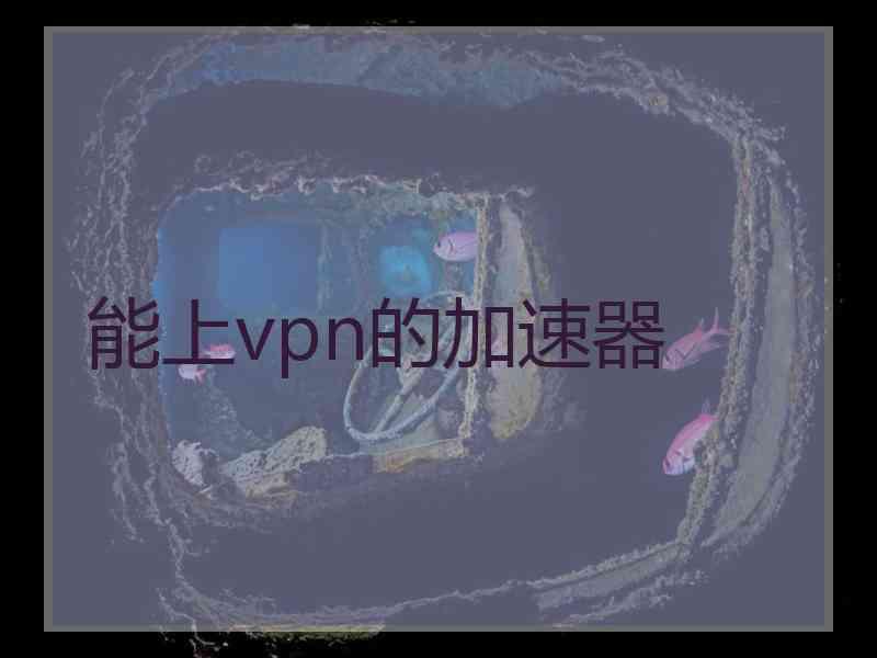 能上vpn的加速器