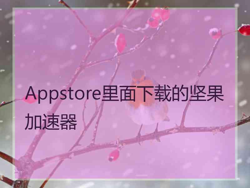 Appstore里面下载的坚果加速器