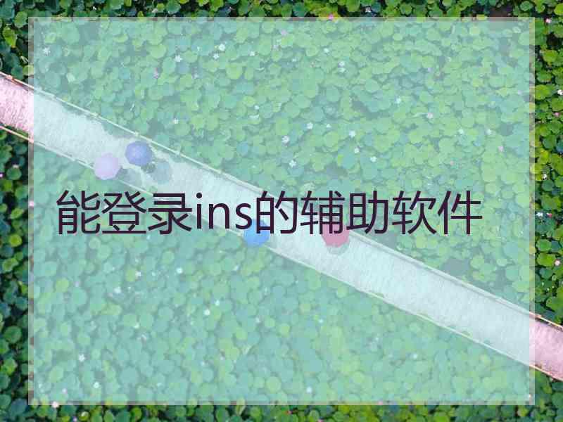 能登录ins的辅助软件