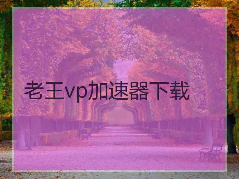 老王vp加速器下载