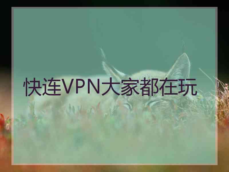 快连VPN大家都在玩