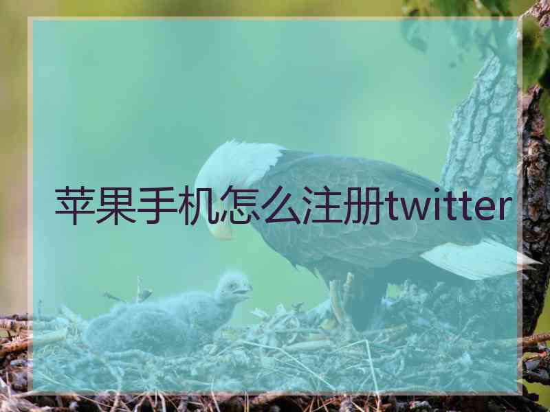 苹果手机怎么注册twitter