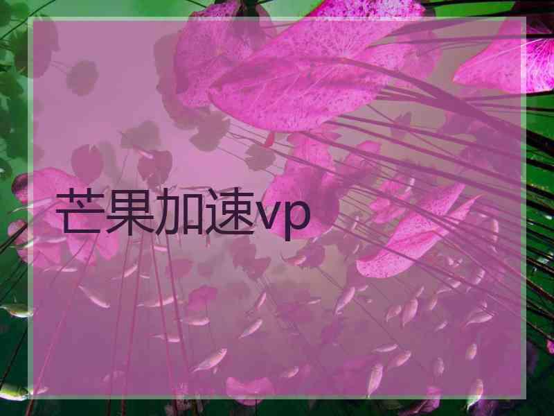 芒果加速vp