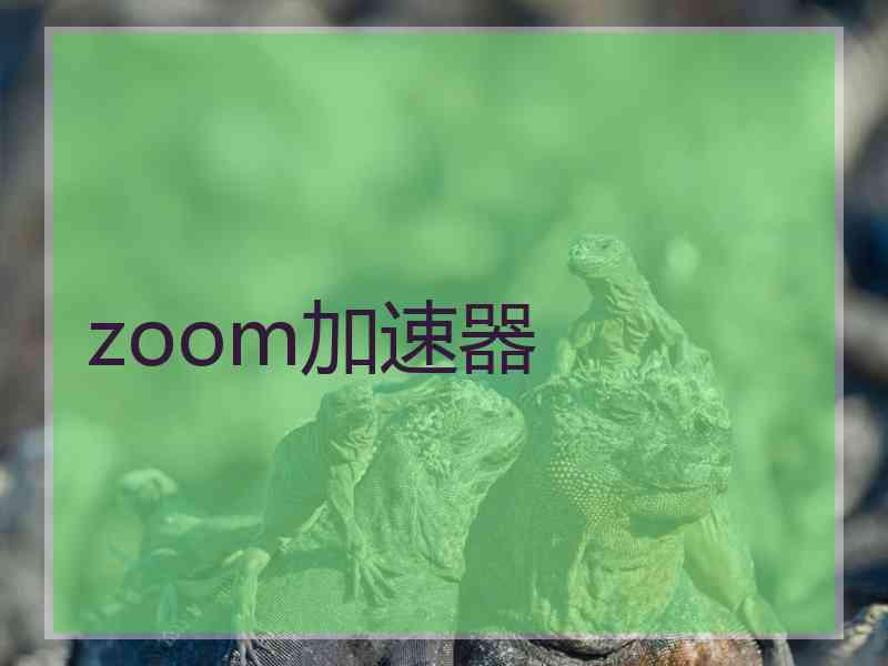 zoom加速器