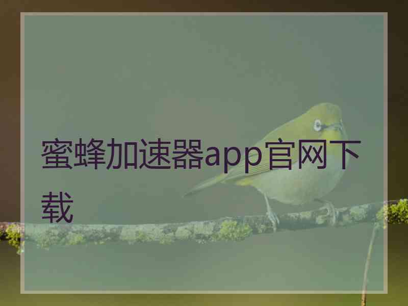 蜜蜂加速器app官网下载