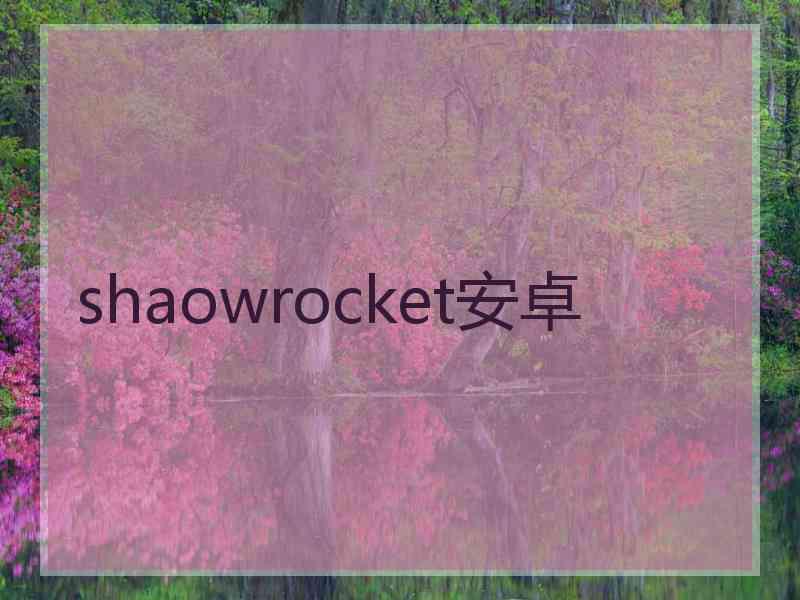 shaowrocket安卓