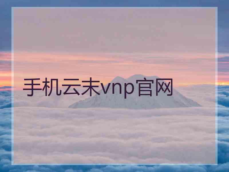 手机云末vnp官网