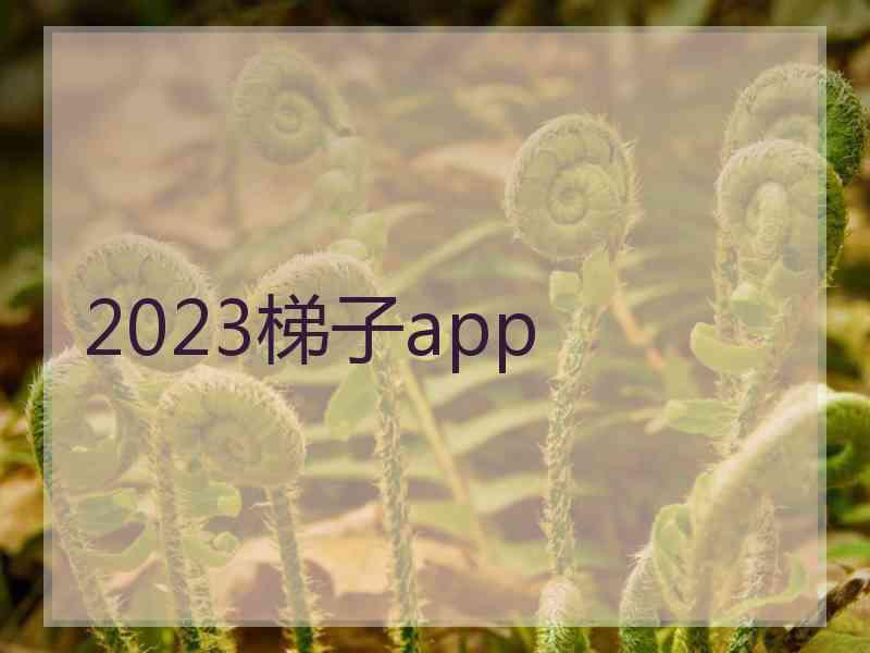 2023梯子app