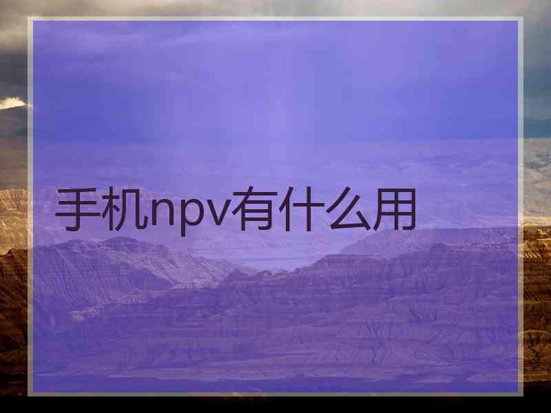 手机npv有什么用