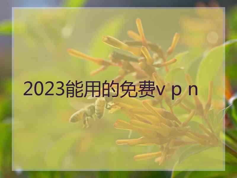 2023能用的免费v p n