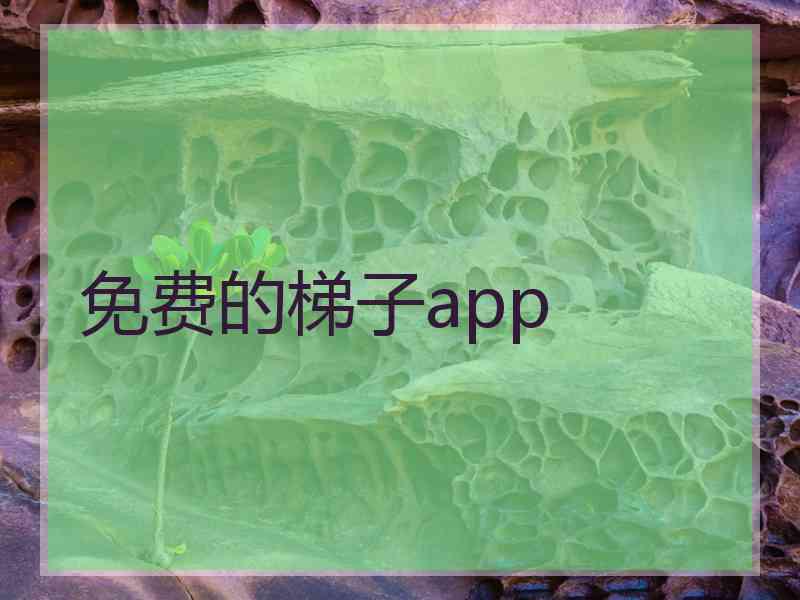 免费的梯子app