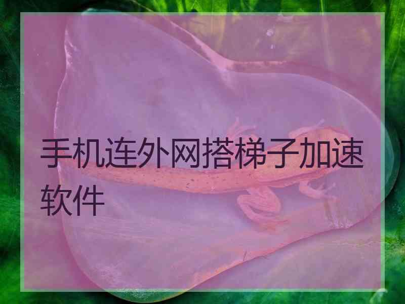 手机连外网搭梯子加速软件