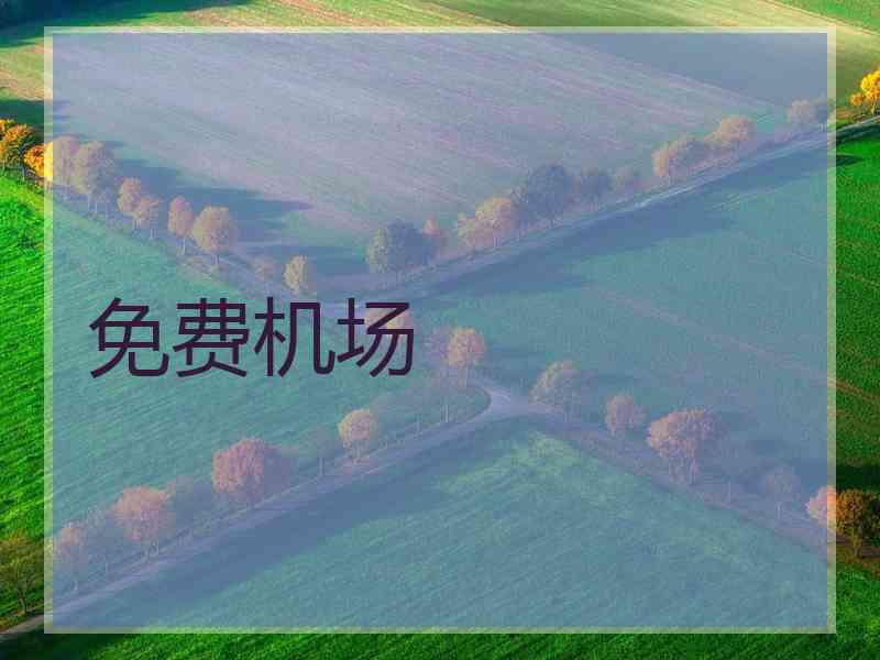 免费机场