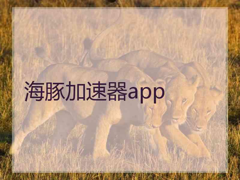 海豚加速器app