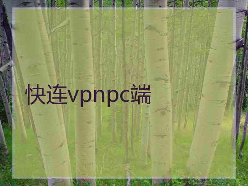 快连vpnpc端