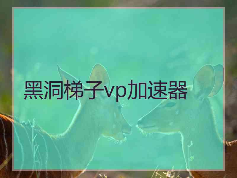 黑洞梯子vp加速器