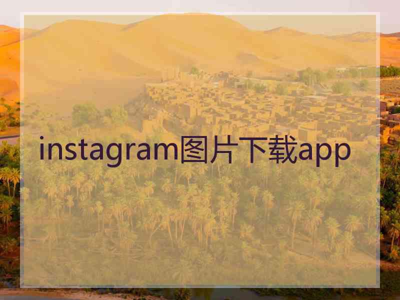 instagram图片下载app