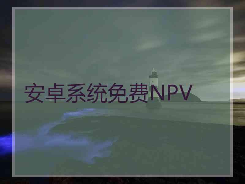 安卓系统免费NPV