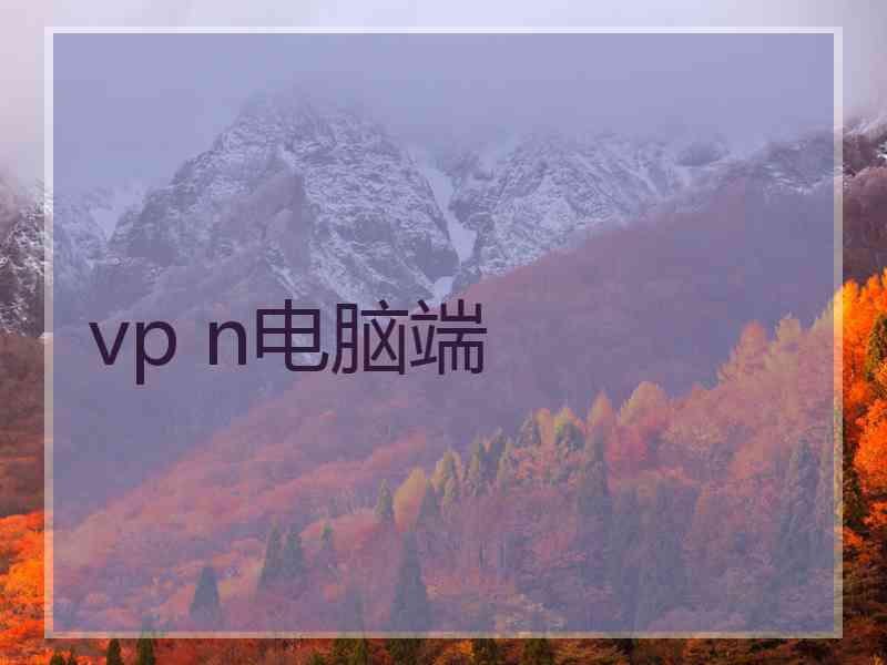 vp n电脑端