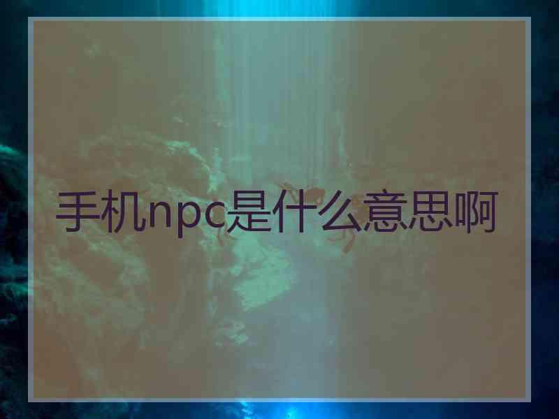 手机npc是什么意思啊