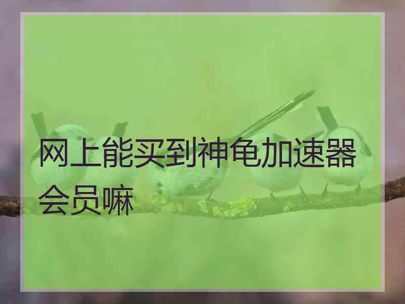 网上能买到神龟加速器会员嘛