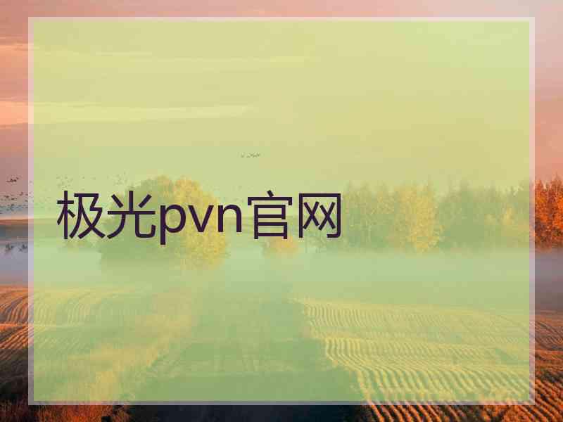 极光pvn官网