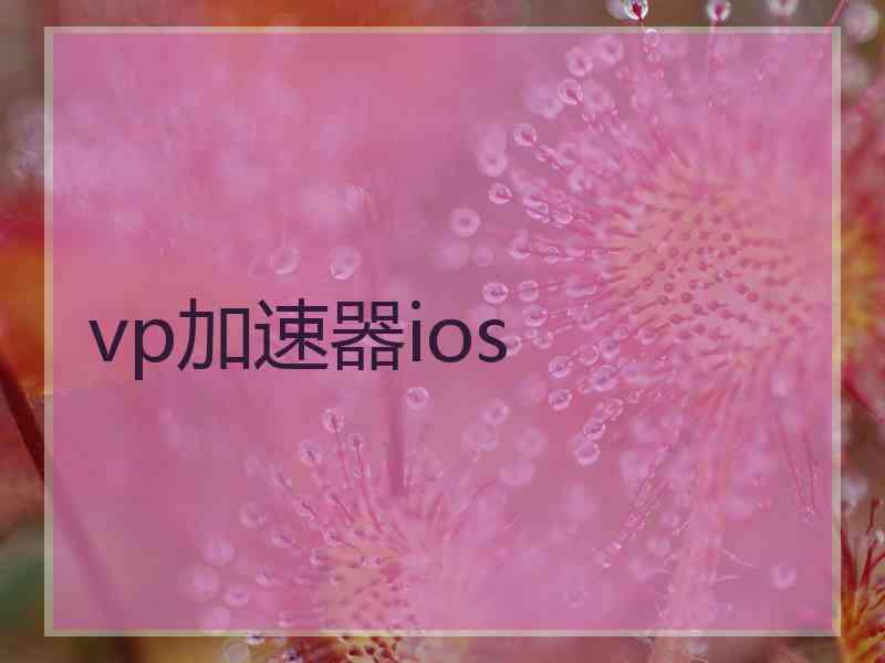 vp加速器ios