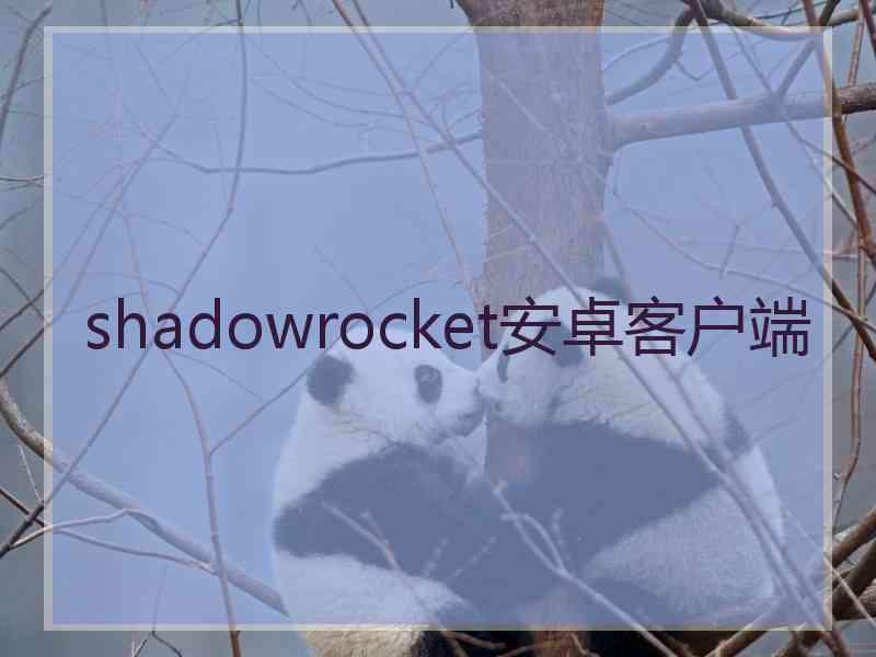 shadowrocket安卓客户端