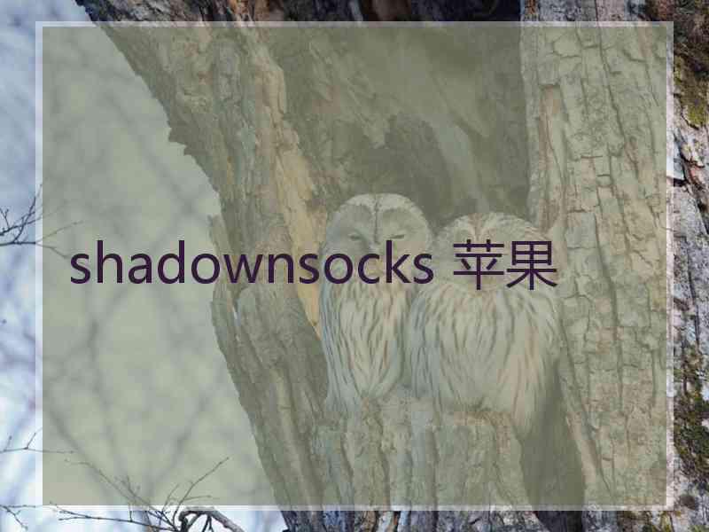 shadownsocks 苹果