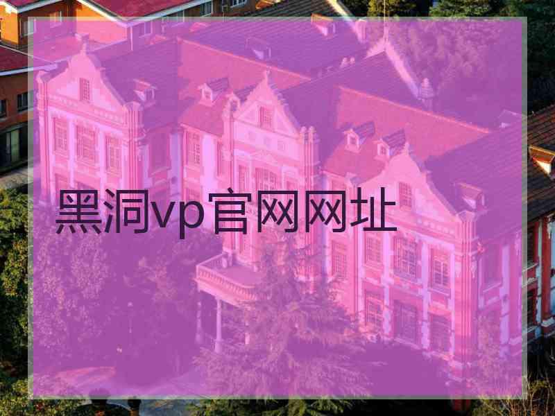 黑洞vp官网网址