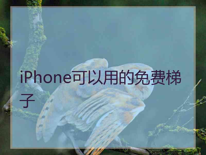 iPhone可以用的免费梯子