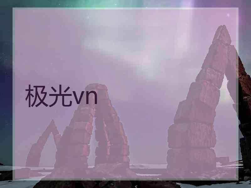 极光vn