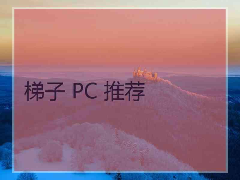 梯子 PC 推荐