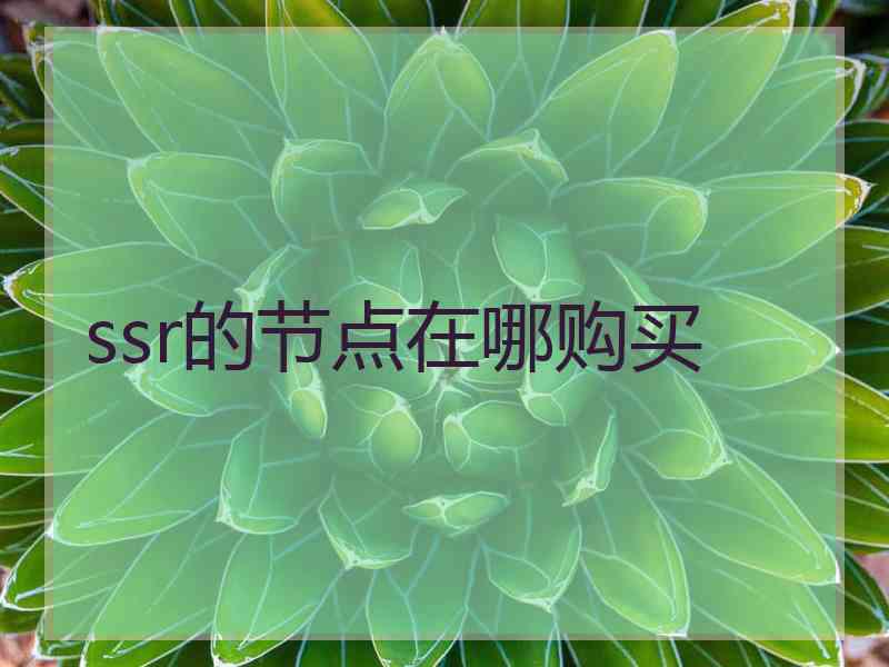 ssr的节点在哪购买