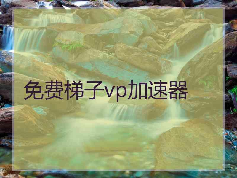 免费梯子vp加速器