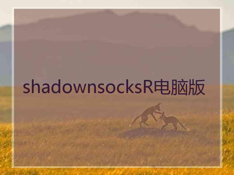 shadownsocksR电脑版