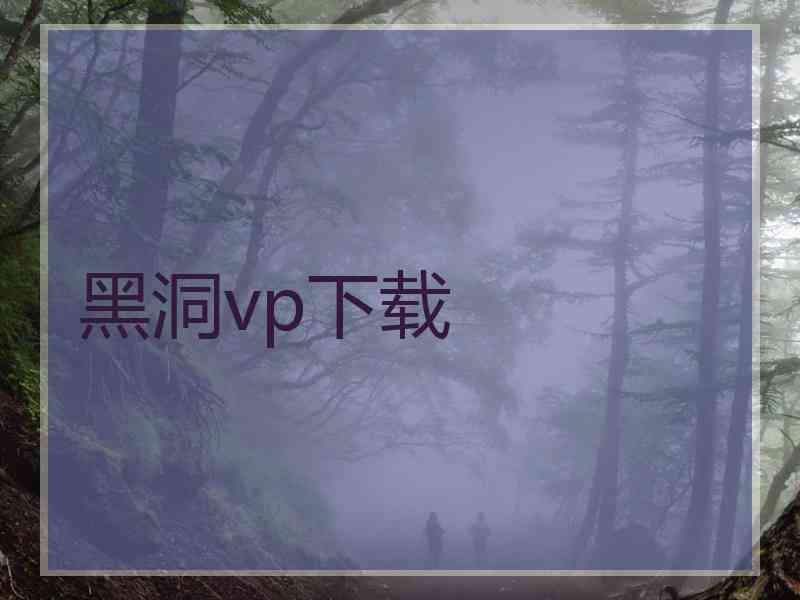 黑洞vp下载