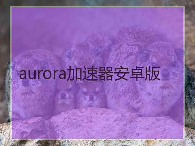 aurora加速器安卓版