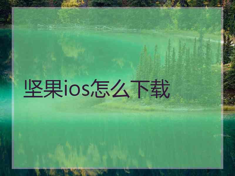 坚果ios怎么下载