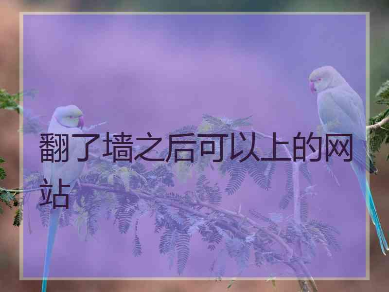 翻了墙之后可以上的网站