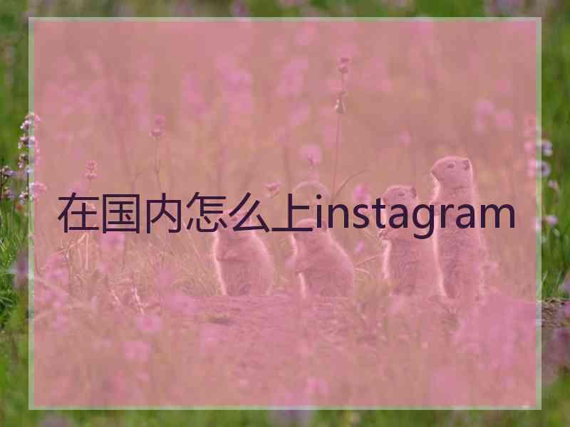 在国内怎么上instagram