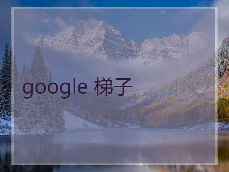 google 梯子