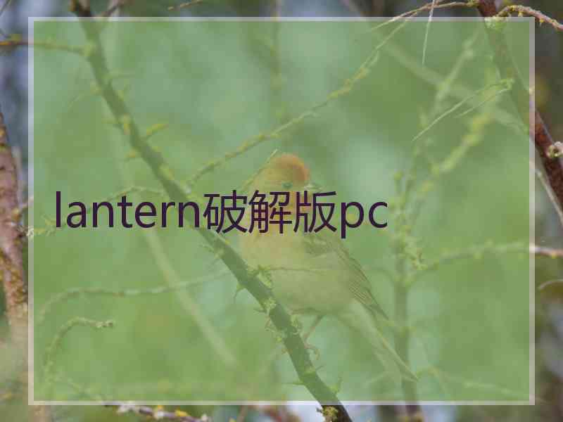 lantern破解版pc